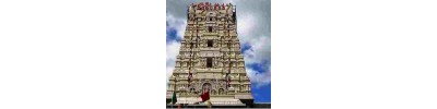 நேமம்